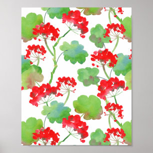 Poster Fleurs rouges (Pelargonium)