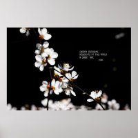 Fleurs Sakura