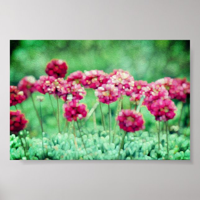 Poster Fleurs sauvages (Devant)