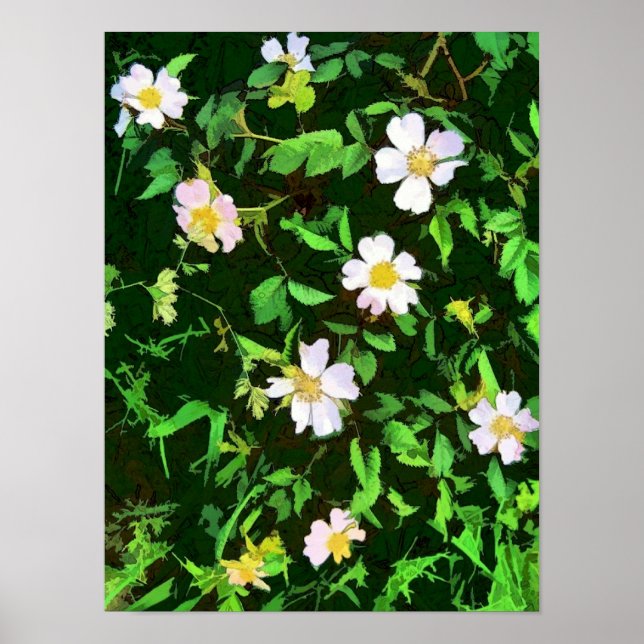 POSTER FLEURS SAUVAGES (Devant)