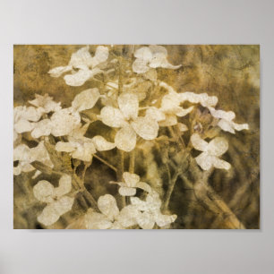 Poster Fleurs sauvages