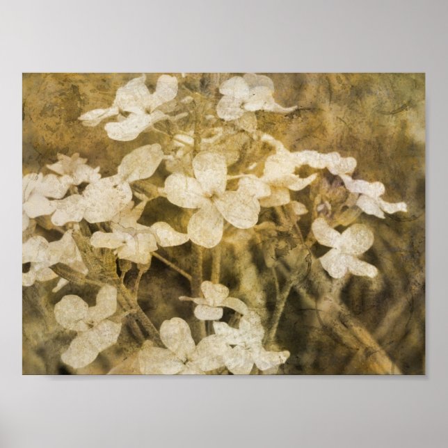 Poster Fleurs sauvages (Devant)