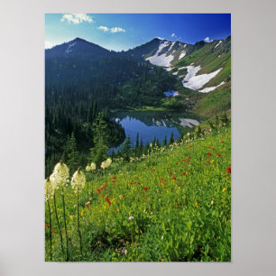 Poster Fleurs sauvages alpins dans le bassin des bijoux