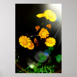 Poster Fleurs sauvages au soleil