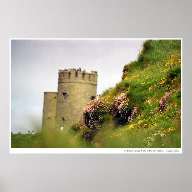 Poster Fleurs sauvages aux falaises de Moher, Irlande (Devant)