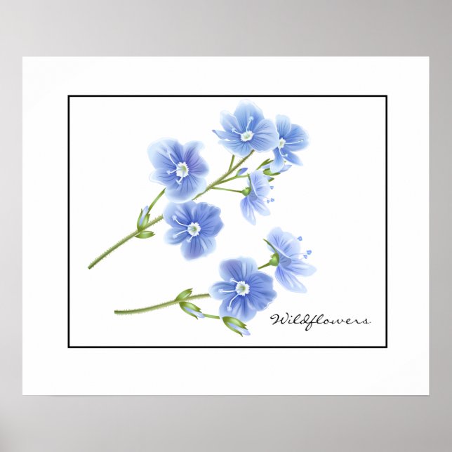 Poster Fleurs sauvages Bleu-Poster (Devant)