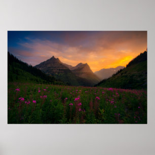 Poster Fleurs sauvages de glacier