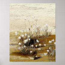 Fleurs sauvages de prairie sablonneuse #3 – Art bo