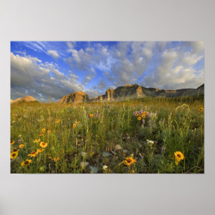 Poster Fleurs sauvages des Prairies au ruisseau Windy dan