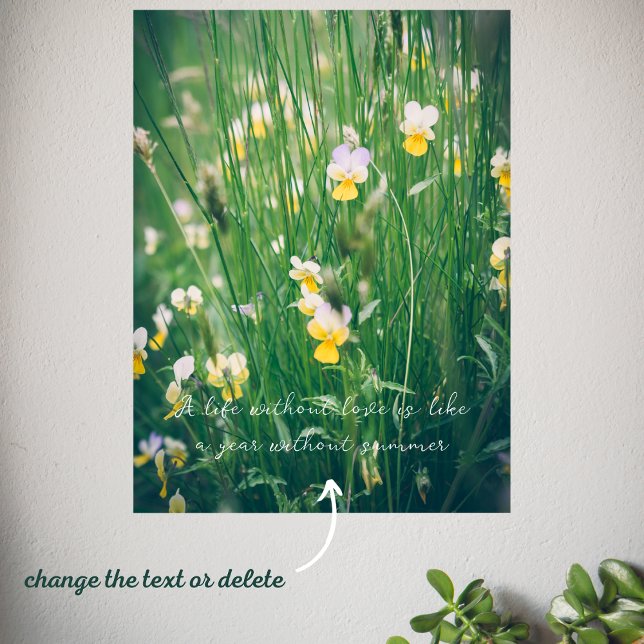 Poster Fleurs sauvages d'été (Créateur téléchargé)