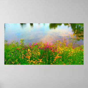Poster Fleurs sauvages d'été et étang