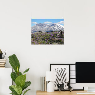 Poster Fleurs sauvages du mont St Helens Photographie