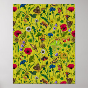 Poster Fleurs sauvages et papillons de nuit 2