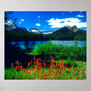Poster Fleurs sauvages indiens
