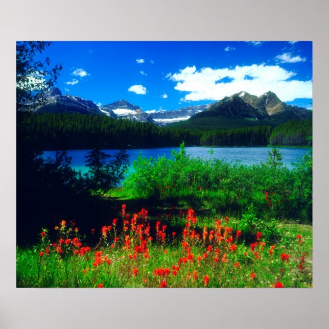 Poster Fleurs sauvages indiens (Devant)