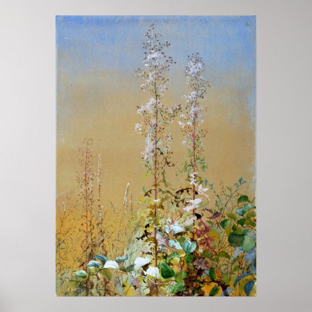 Poster Fleurs sauvages Ponts Fidelia Aquarelle Art (Devant)