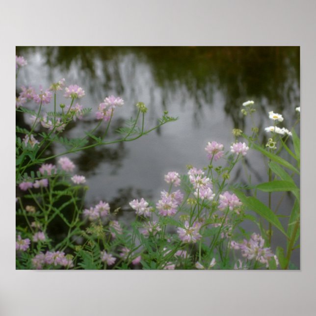 Poster Fleurs sauvages roses près de Brook (Devant)