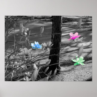 Poster Fleurs sélectionnées