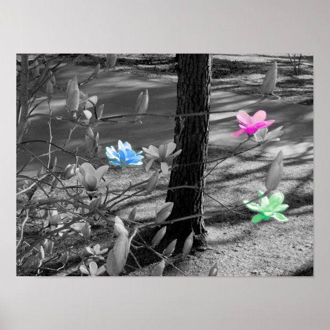 Poster Fleurs sélectionnées (Devant)