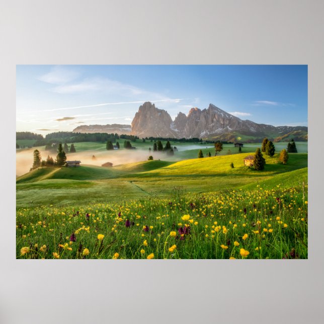 Poster Fleurs | Spring Alpe di Siusi Langkofel (Devant)