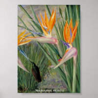 Fleurs Strelitzia et Oiseaux de sucre Marianne Nor