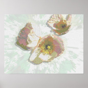 Poster Fleurs superbes
