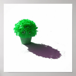 Poster Fleurs vertes Bouche blanche et ombre