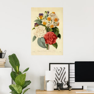 Poster Fleurs vintages, Camellias et Narcisse, Redoute