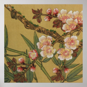 Poster Fleurs vintages de cerises Fleurs japonaises asiat