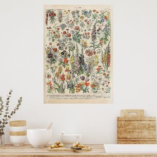 Poster Fleurs vintages par Adolphe Millot
