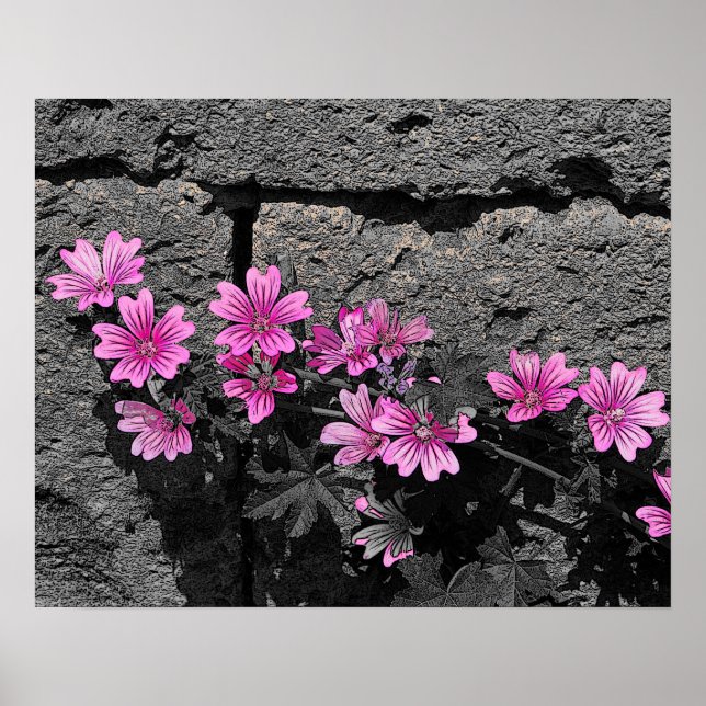 Poster Fleurs violettes (Devant)