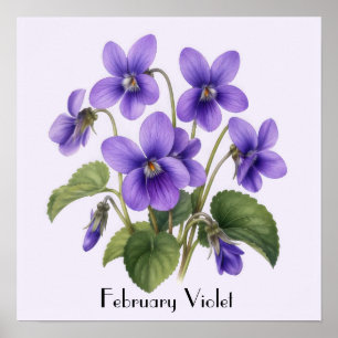 Poster Fleurs Violettes de Février