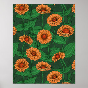 Poster Fleurs Zinnia orange, feuilles verts sur vert fonc
