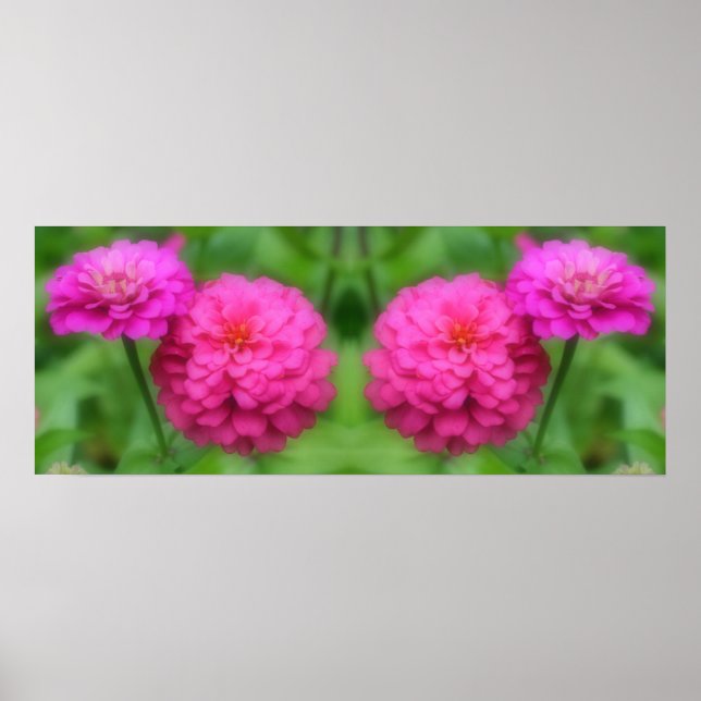Poster Fleurs Zinnia rose miroir Abstrait (Devant)