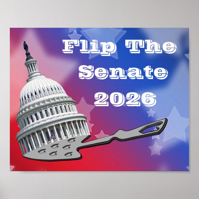 Poster Flip The Senate Vote 2026 (Devant)