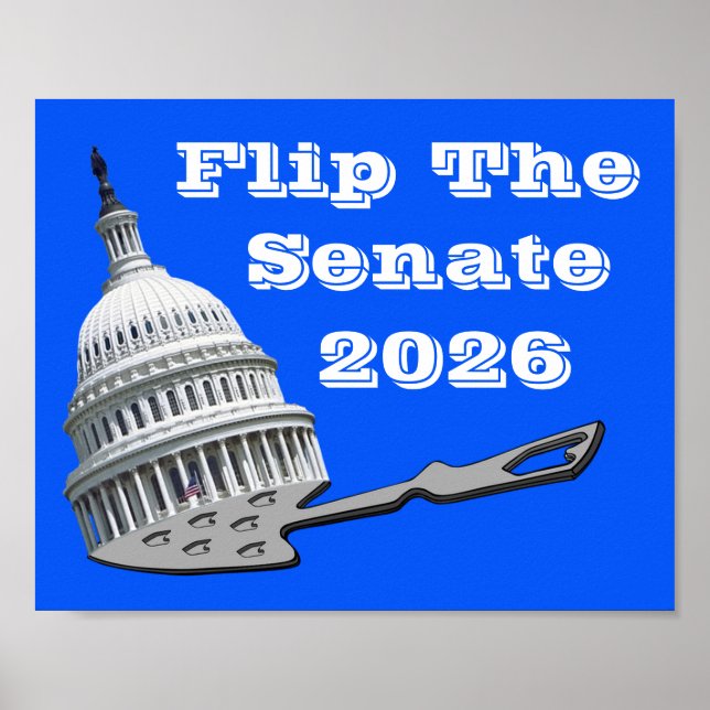 Poster Flip The Senate Vote Blue 2026 (Devant)