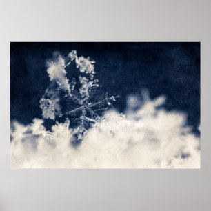 Poster Flocon de neige