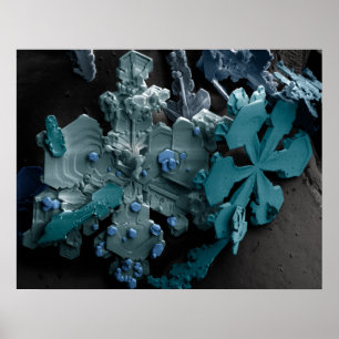 Poster Flocon de neige