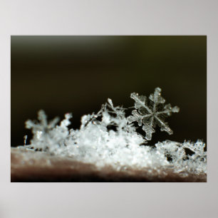 Poster Flocon de neige 2009 Blizzard