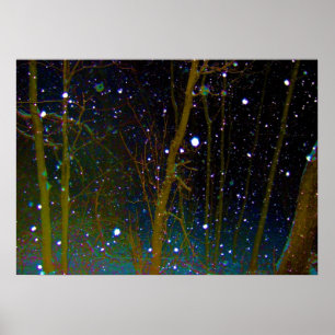 Poster Flocons de neige dans les bois