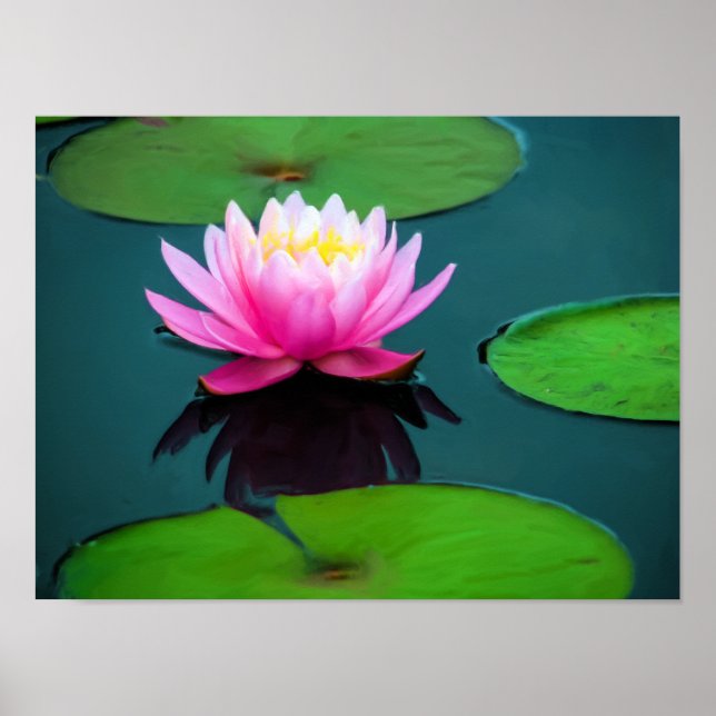 Poster Flor 06 Ninféia Rosa (Devant)