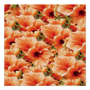 Poster floral