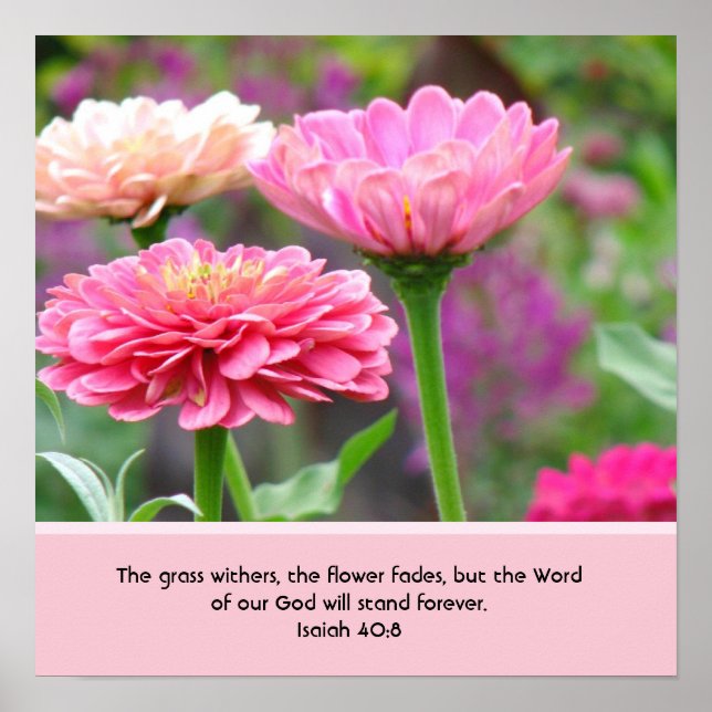 Poster floral avec la Bible Verse (Devant)