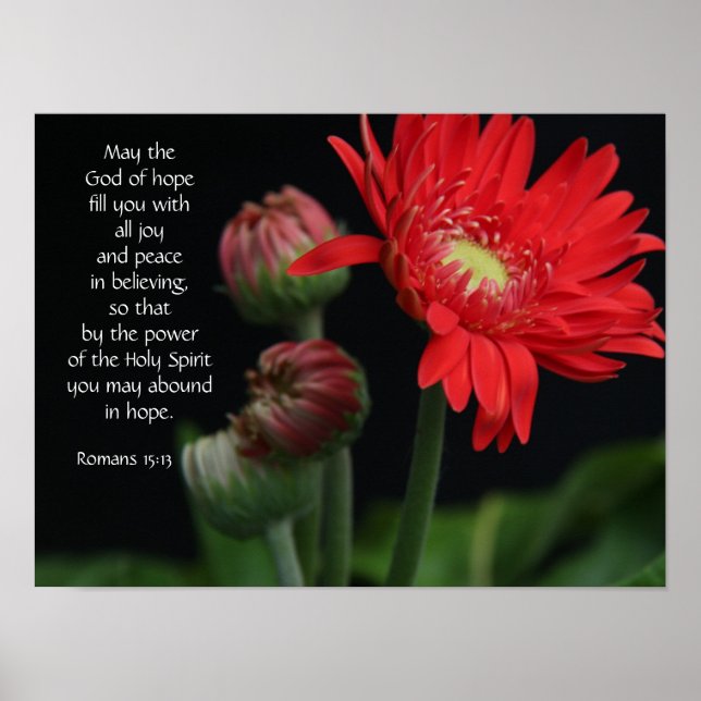 Poster floral avec verset biblique sur l'espérance (Devant)
