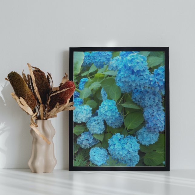 Poster Floral d'Hydrangée Bleue (In Situ)