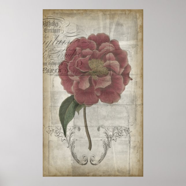 Poster Floral français III (Devant)