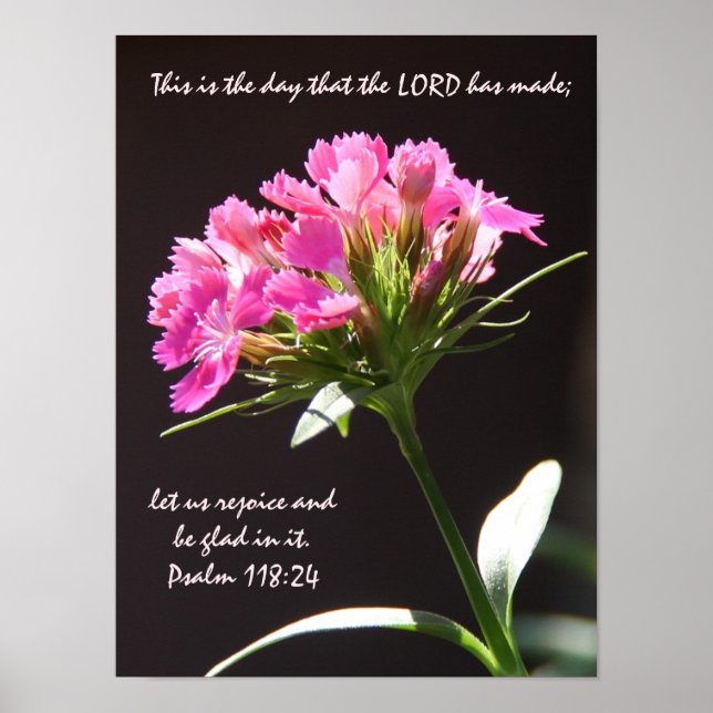 Poster Floral rose avec verse de Psaume 118:24 (Devant)