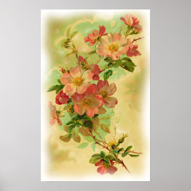 Poster Floral vintage (Devant)