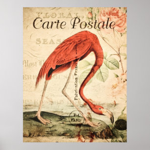 Poster Floral vintage Flamant rose Bird Français