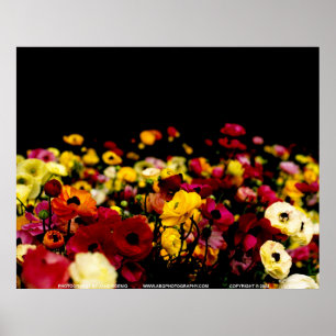 Poster Floralscape/JSKCA001